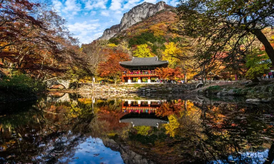 首爾旅遊｜秋賞楓紅～內藏山.白羊寺.全州韓屋村.賞銀杏～德壽宮.逛明洞六日｜德威航空｜台中出發