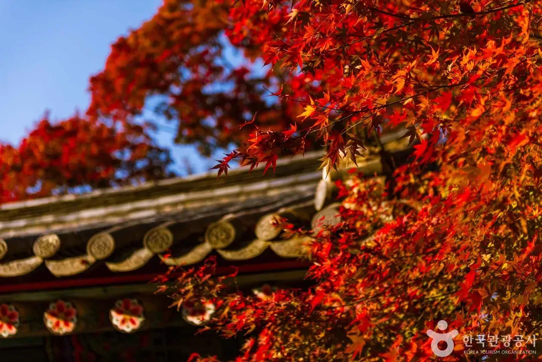 【世界文化遺產】佛國寺