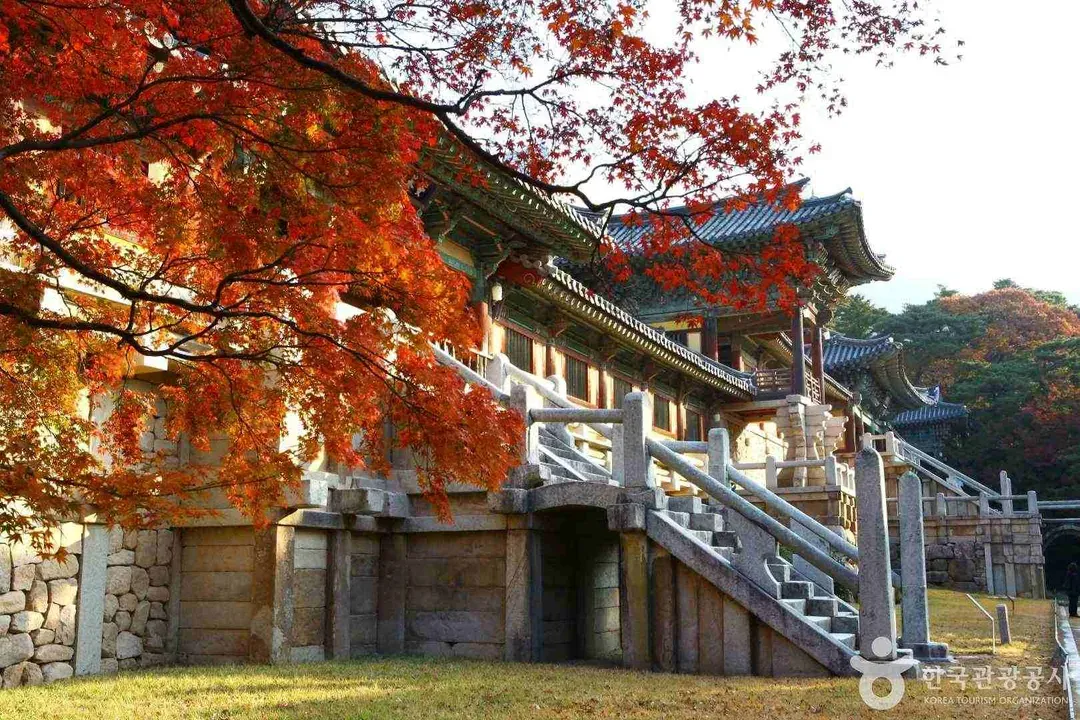 【世界文化遺產】佛國寺