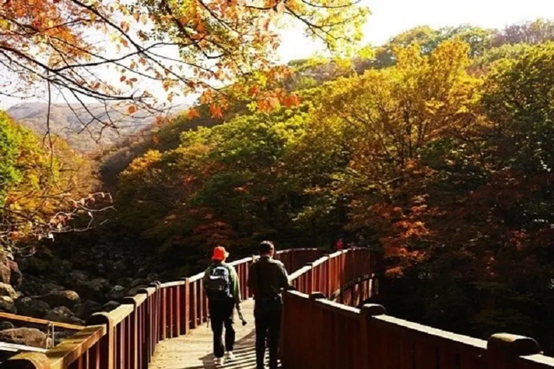 漢拏山