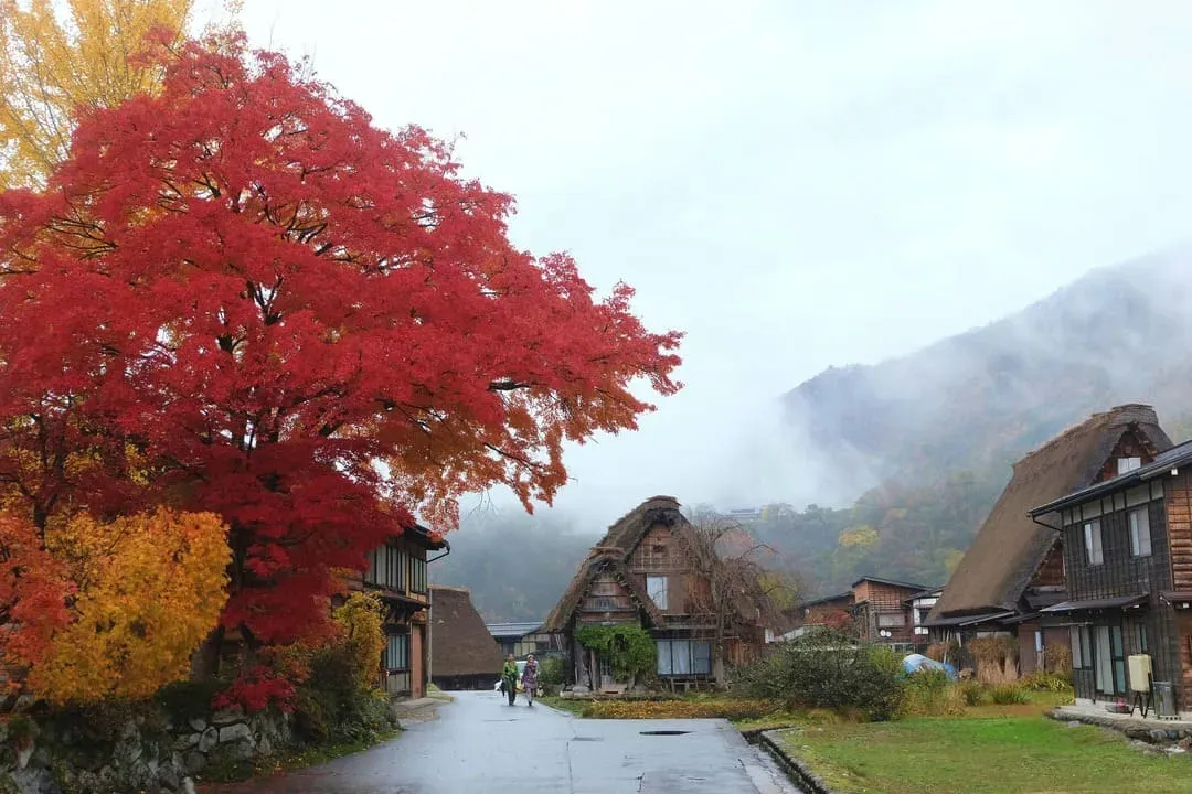 合掌村