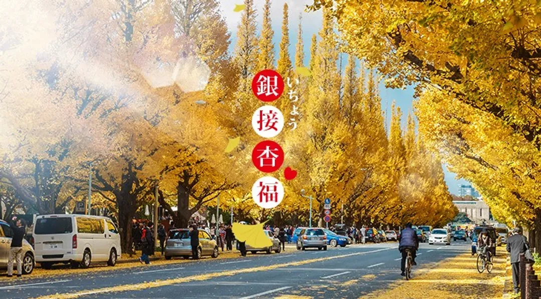秋楓東京｜河口湖紅葉祭.新宿御苑.箱根美術館.身延山纜車.西湖合掌村.螃蟹雙溫泉六日｜高雄來回