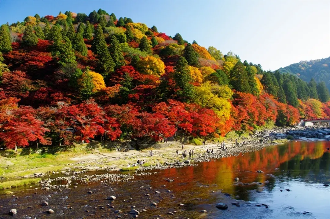 一起揪吧大阪北陸南紀｜楓紅立山黑部.三方五湖.夢幻合掌村.伊勢神宮.楓紅香嵐溪.秘境熊野古道.螃蟹伊勢龍蝦十日｜高雄-7