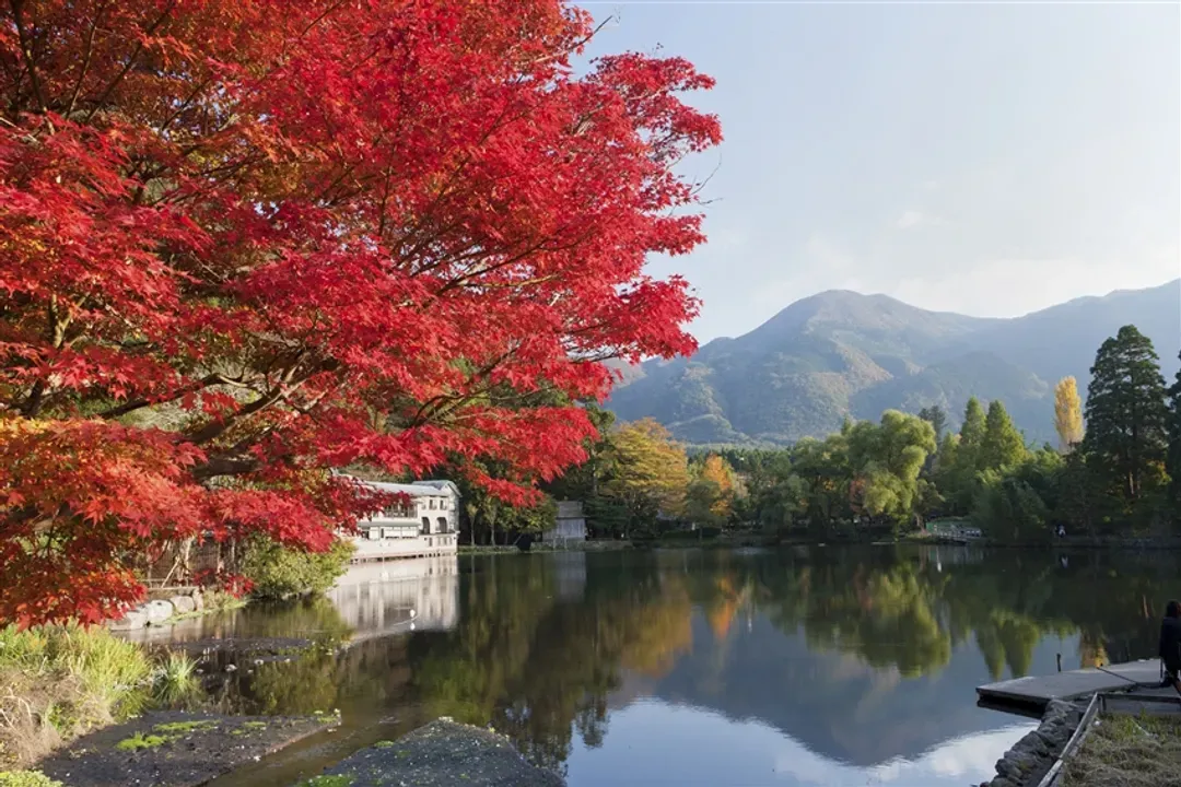 省最大九州｜楓紅名所.一目八景.雲仙纜車.御船山樂園.深耶馬溪.斜坡纜車溫泉五日【高雄直飛】-11