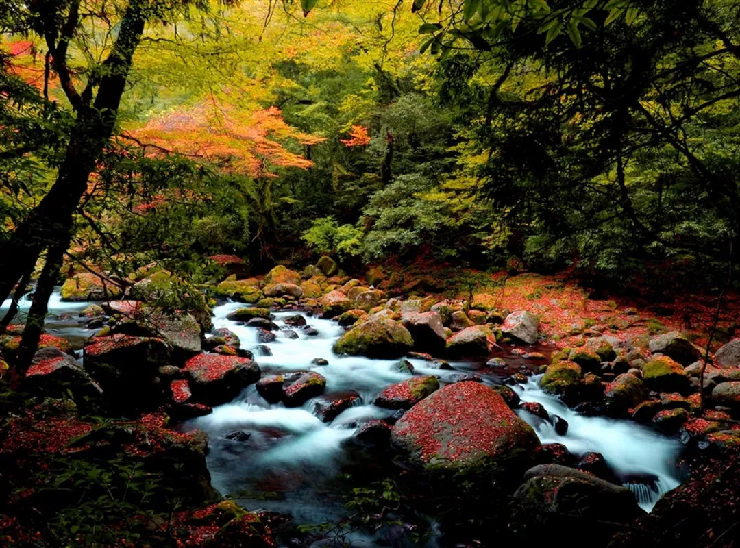 省最大九州｜楓紅名所.一目八景.雲仙纜車.御船山樂園.深耶馬溪.斜坡纜車溫泉五日【高雄直飛】-6