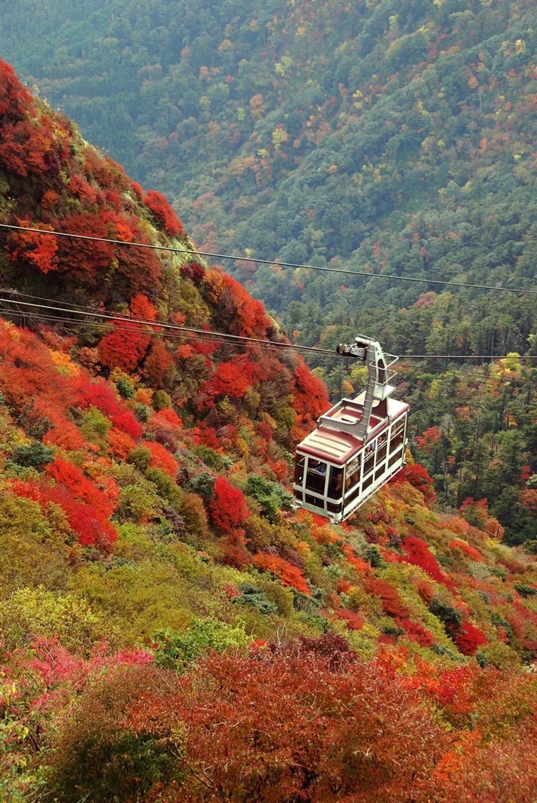 省最大九州｜楓紅名所.一目八景.雲仙纜車.御船山樂園.深耶馬溪.斜坡纜車溫泉五日【高雄直飛】