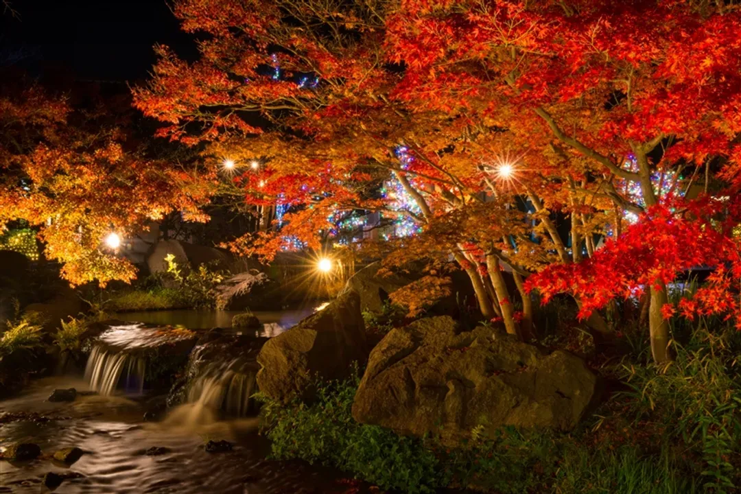 限量搶.北陸旅遊|白川鄉合掌村.兼六園.高岡大佛.上高地.高山老街.仙貝DIY.溫泉五日