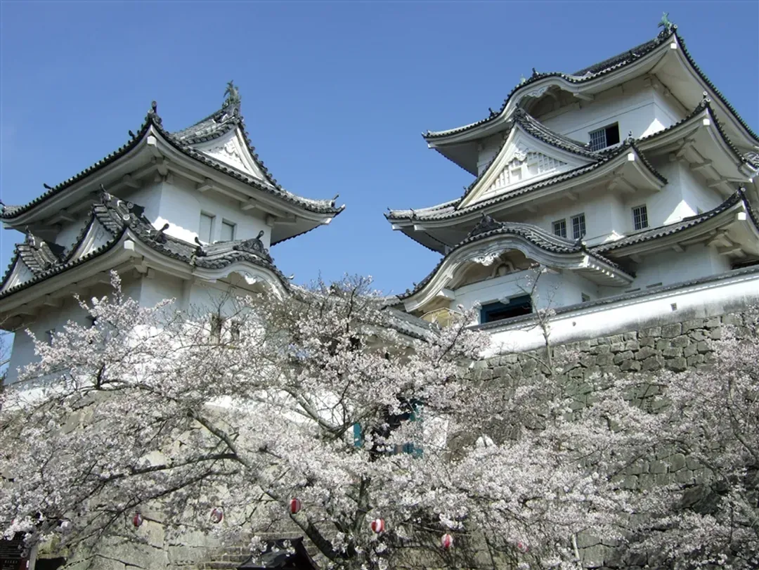 楓紅米其林珍稀旅｜關西雙鐵道｜保住萬豪星鑰宿・唯美古寺夜楓・宅邸庭園饗宴・絕美倒映長谷寺・志摩溫泉｜6日-5