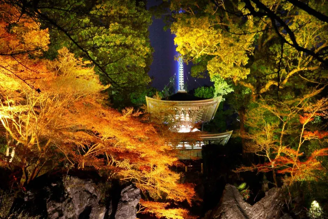 楓紅米其林珍稀旅｜關西雙鐵道｜保住萬豪星鑰宿・唯美古寺夜楓・宅邸庭園饗宴・絕美倒映長谷寺・志摩溫泉｜6日