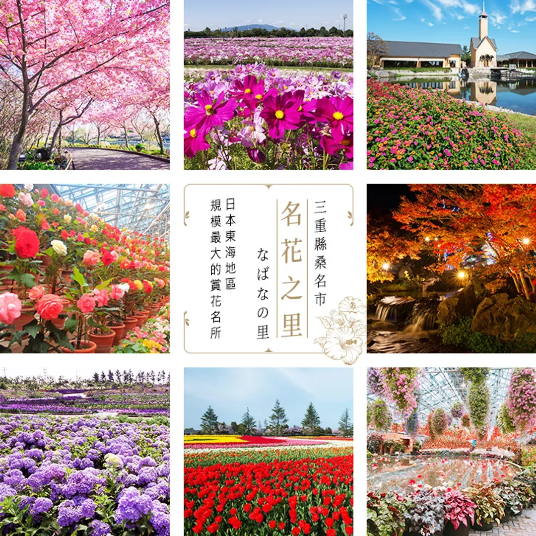 北陸漫遊｜東海最大級~名花之里花季.長良川鐵道.合掌村.飛驒高山.最美街道卯建町.美濃DIY溫泉五日｜台中出發