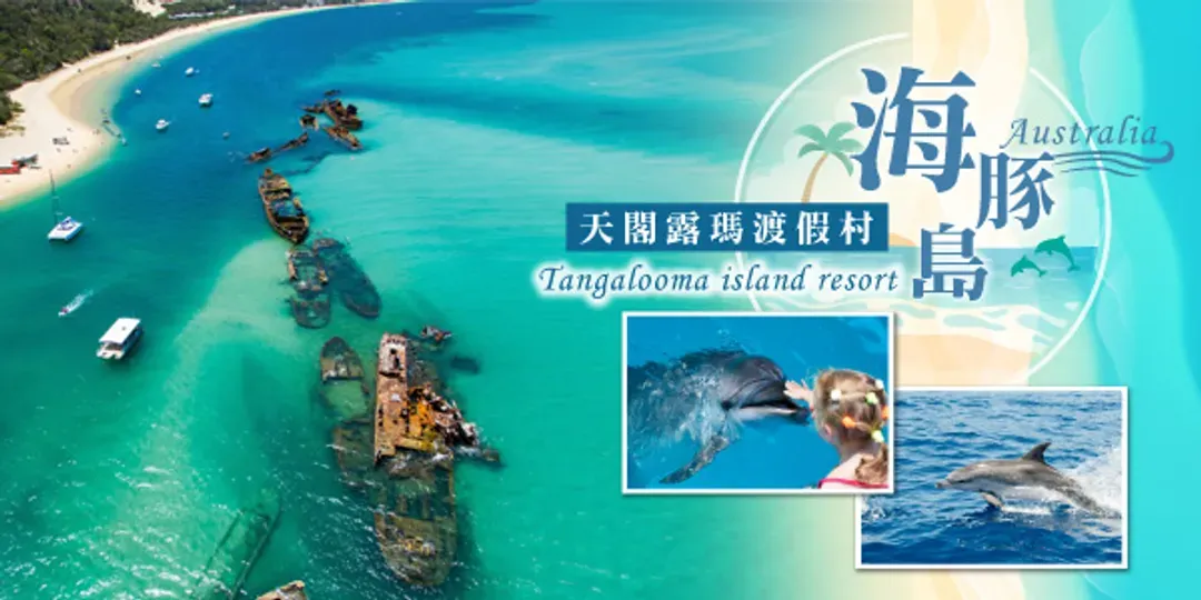莫瑞頓海豚島(四輪傳動車、驚奇滑沙、餵海豚)