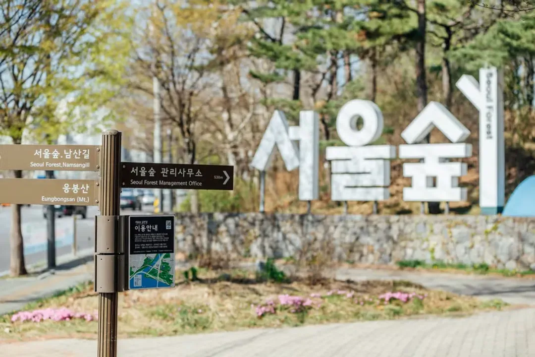 新潮流商圈(首爾國際庭園博覽會)
