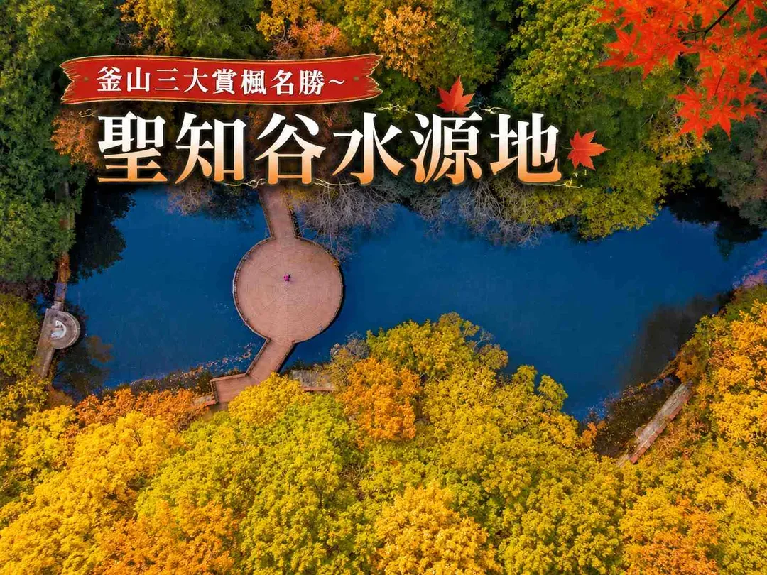 紅葉故事旅行