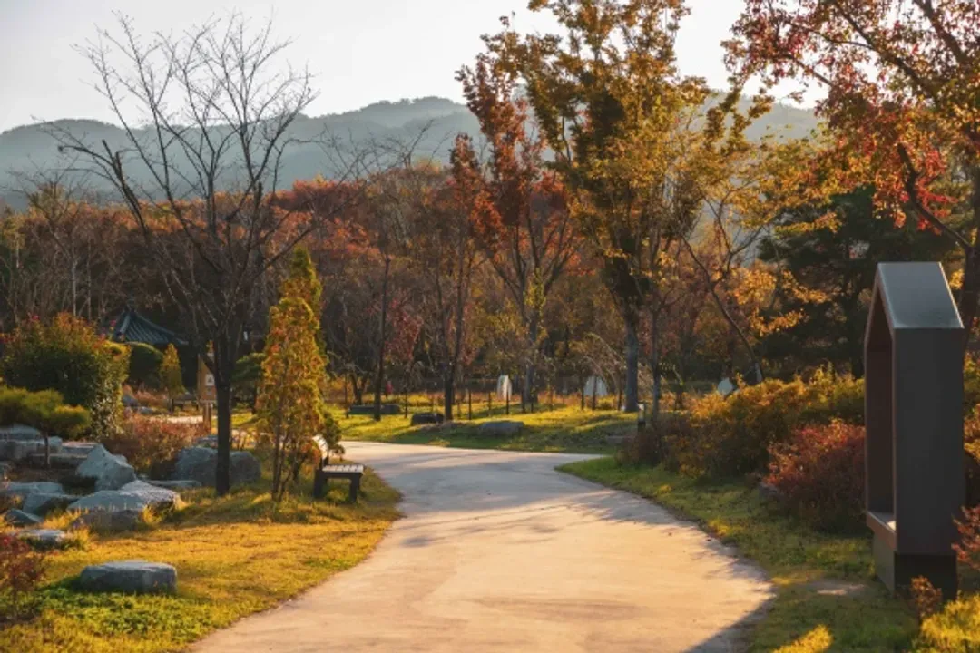 慶州千年公園-千年森林庭園(賞楓)