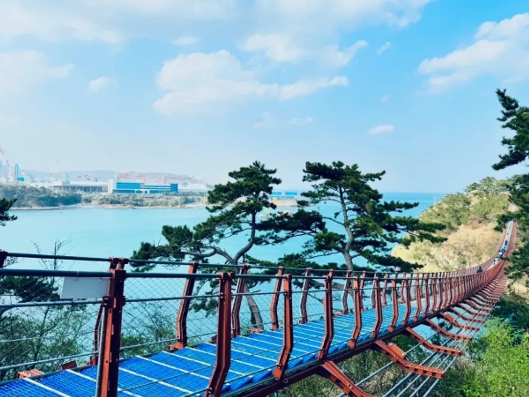 釜慶秋日童話～千年森林庭園、韓國觀光百選、天空膠囊列車、海景咖啡廳五日-5