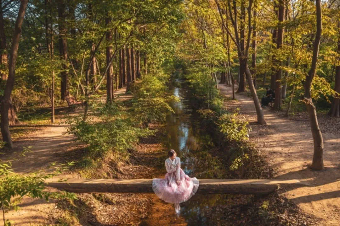 慶州千年公園-千年森林庭園(賞楓)