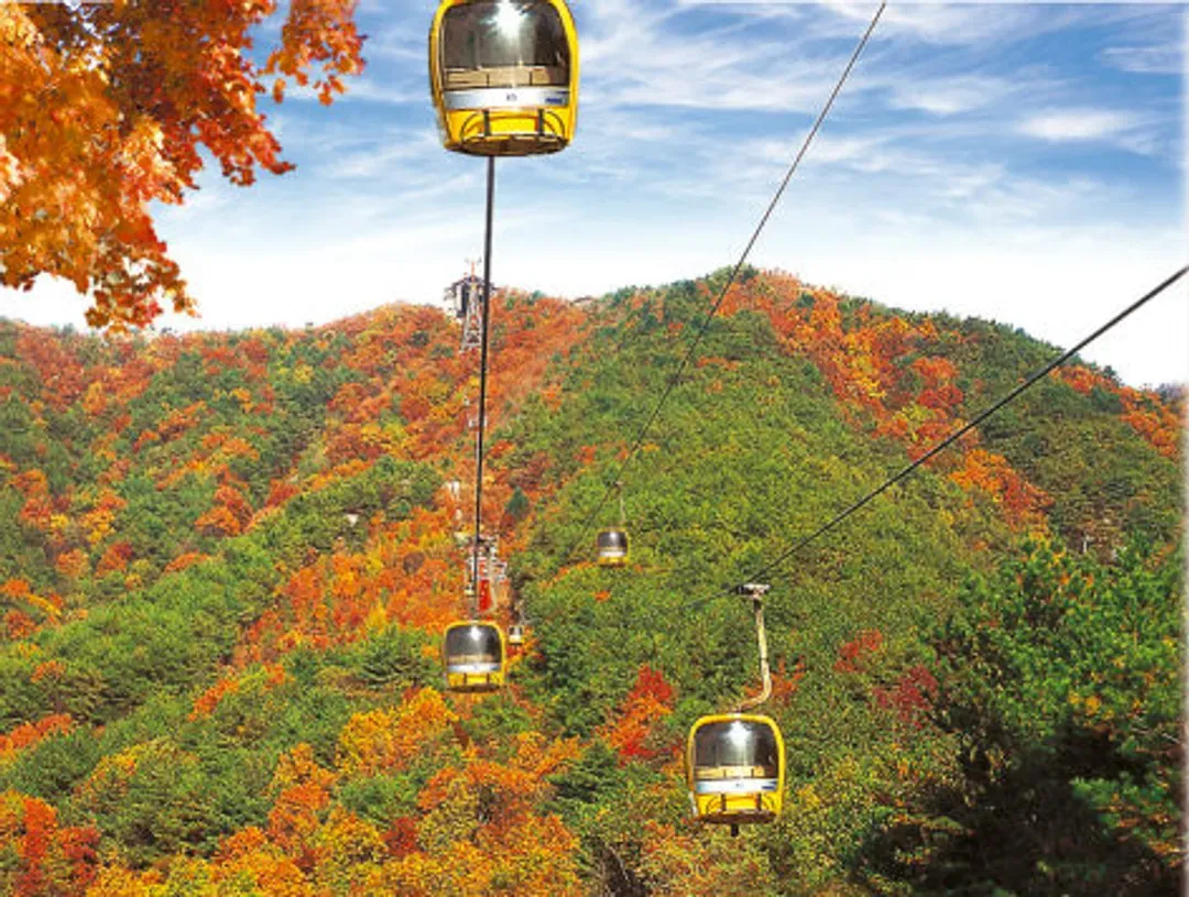八公山道立公園(纜車+賞楓)