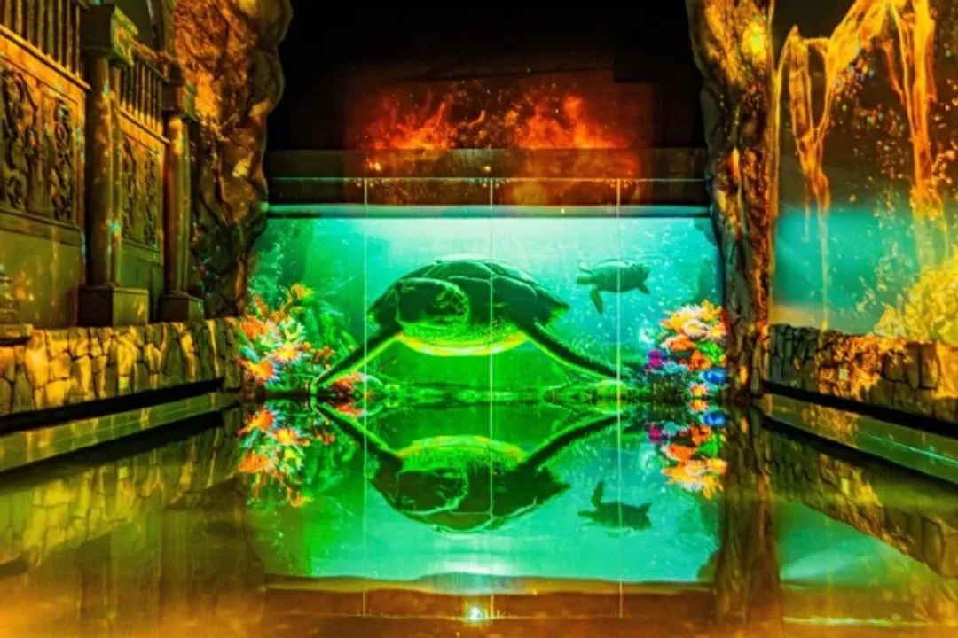 ⽔之幻境(濟州水世界WATERWORLD)-濟州水世界WATER WORLD《航海王 ONE PIECE 大海賊時代展 》