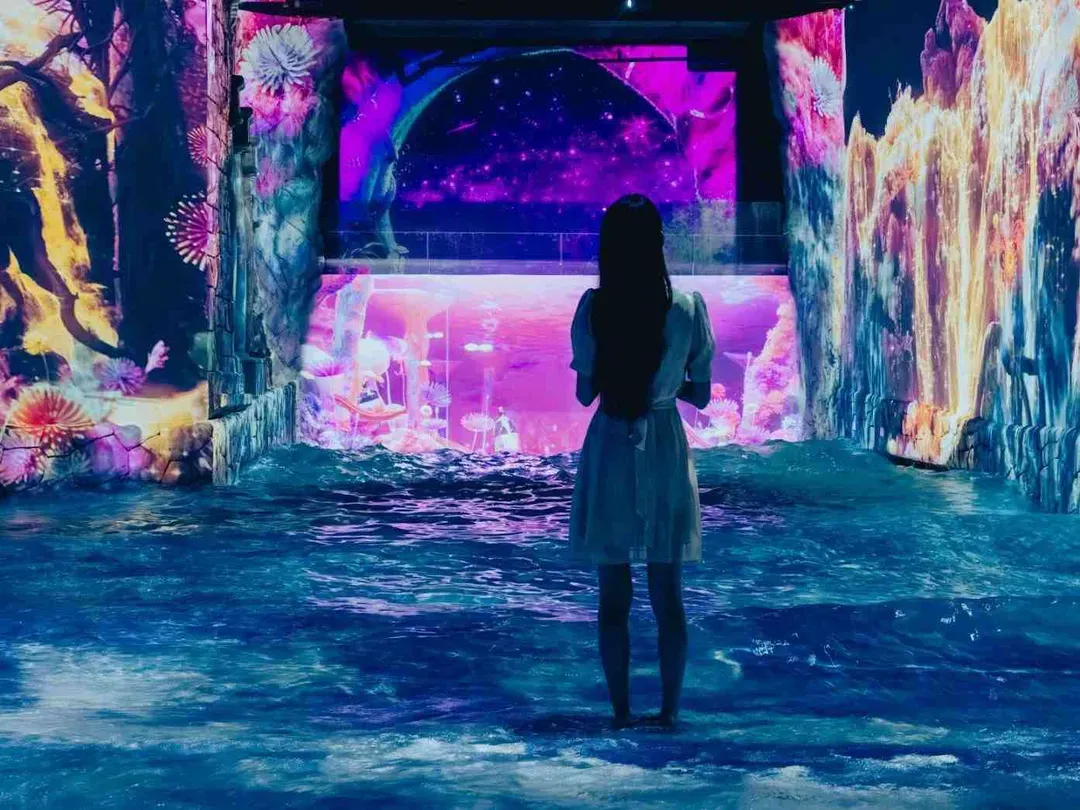 濟州水世界WATER WORLD《航海王 ONE PIECE 大海賊時代展 》
