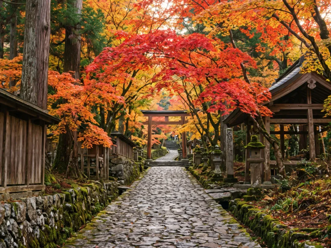 【高雄出發．達摩祈願關西楓情６日】紅葉隧道、宇治遊船品茶、彥根城、手作杯麵、近江牛、一日自由活動[含稅]