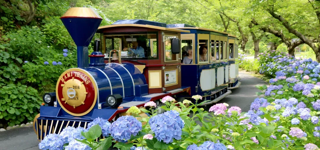 快閃名古屋｜花見濱名湖.千年之森.館山寺纜車.味噌之鄉.酒造見學.溫泉四日