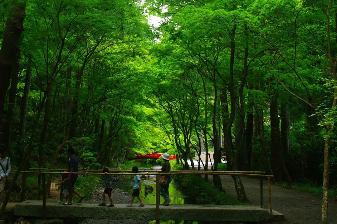 undefined-3
