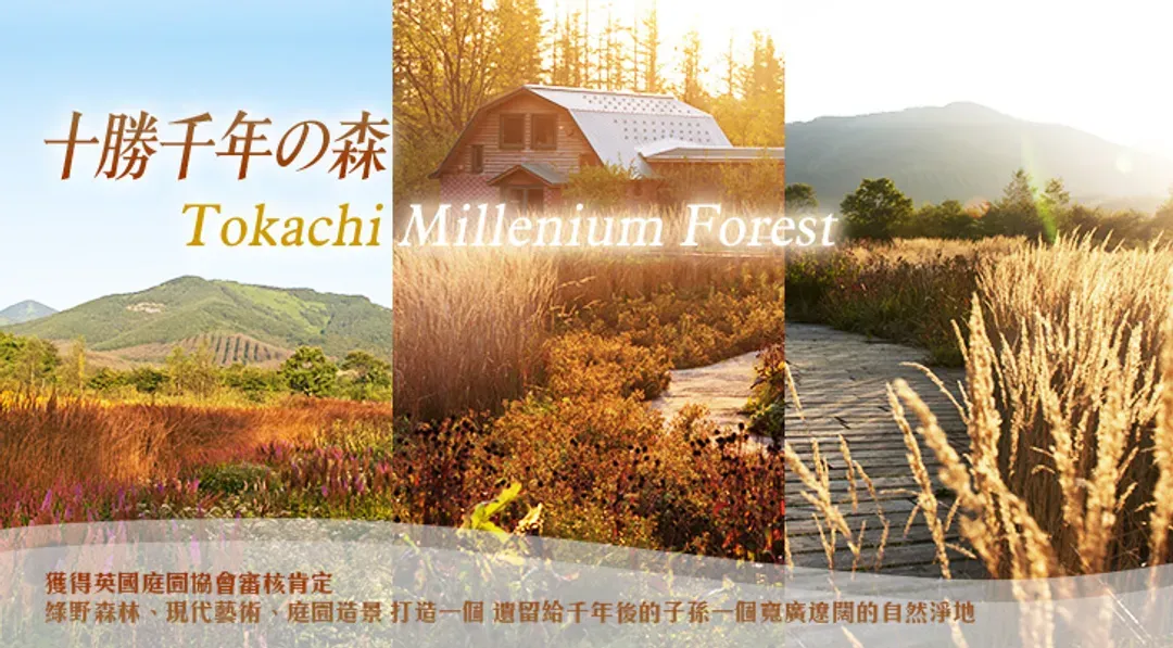undefined-1