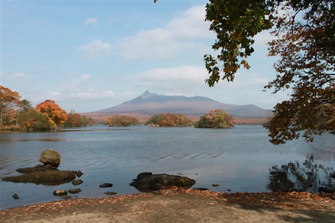 北海道旅遊｜紅葉絕景.支笏湖紅葉.函館纜車.海洋公園.企鵝遊行.小樽漫遊.三大螃蟹五日｜台中出發-9