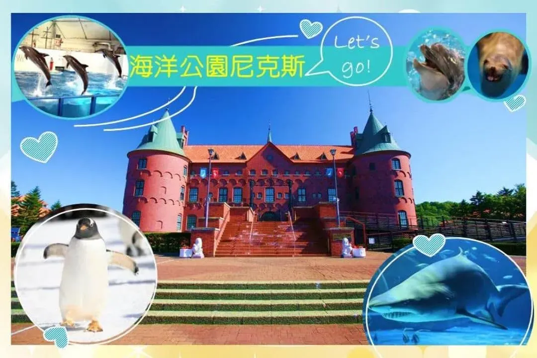 星耀北海道～北國戲雪趣、函館百萬夜景、浪漫彩燈節、和牛燒肉湯饗五日-5