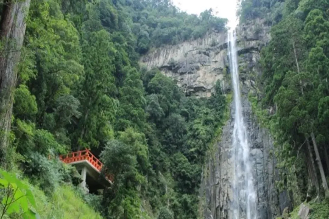 南紀物語～和歌山電鐵、南紀海岸秘境、伊勢志摩旅行、宇治茶香溫泉五日-7
