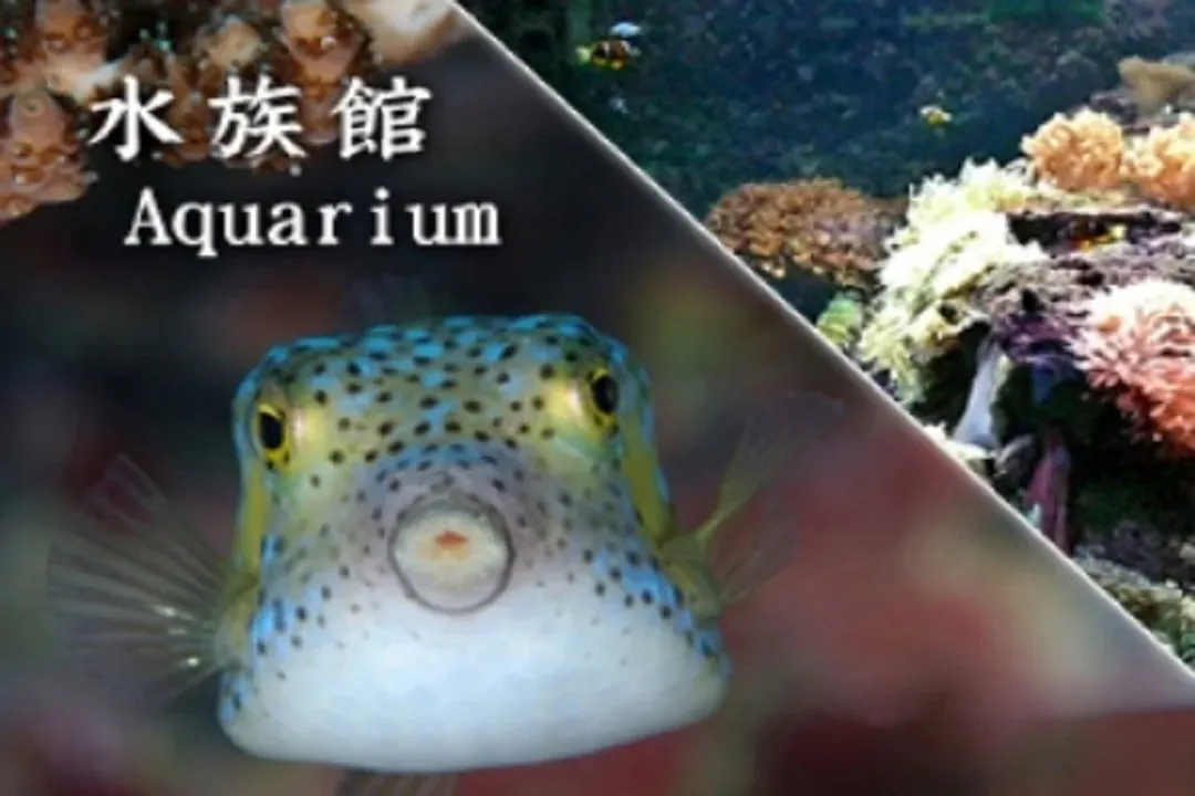 南紀海岸秘境