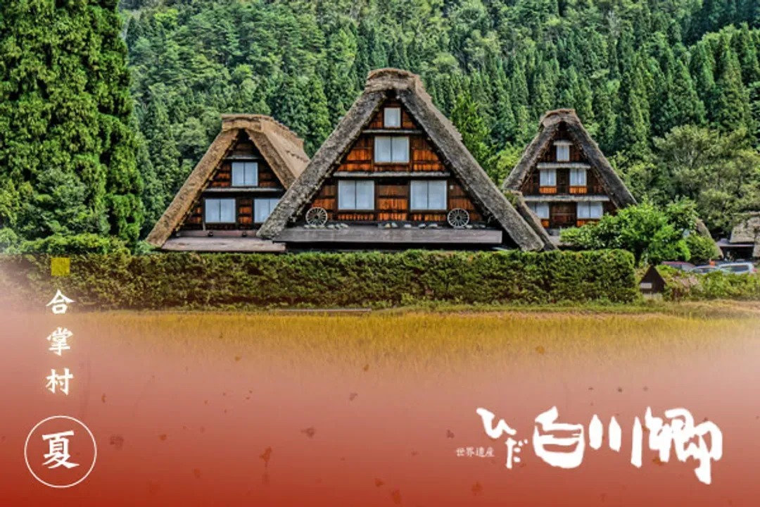 白川鄉合掌村