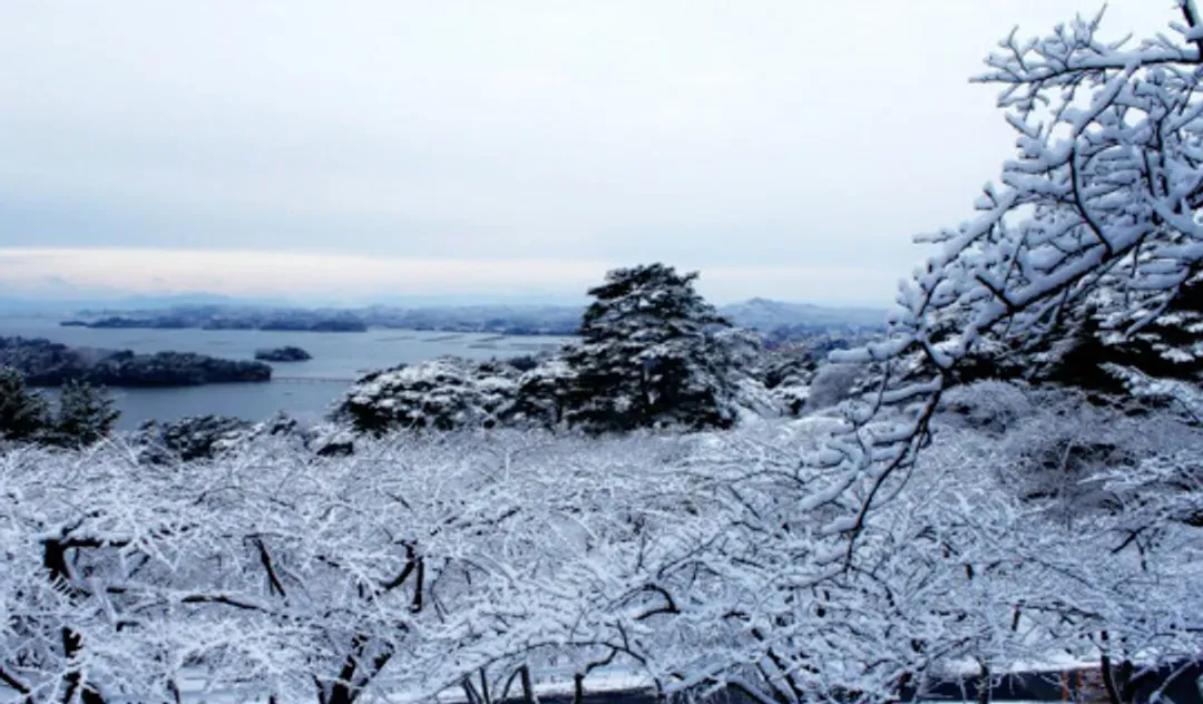 松島(遊覽船+五大堂)