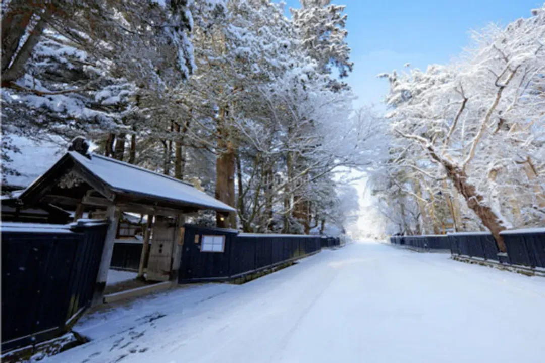 東北雪舞紛飛～藏王樹冰纜車、最上川雪見舟、松島銀山溫泉、秋田縱貫鐵道五日-5