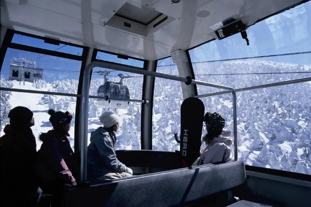 藏王樹冰纜車(冬季樹冰奇景)