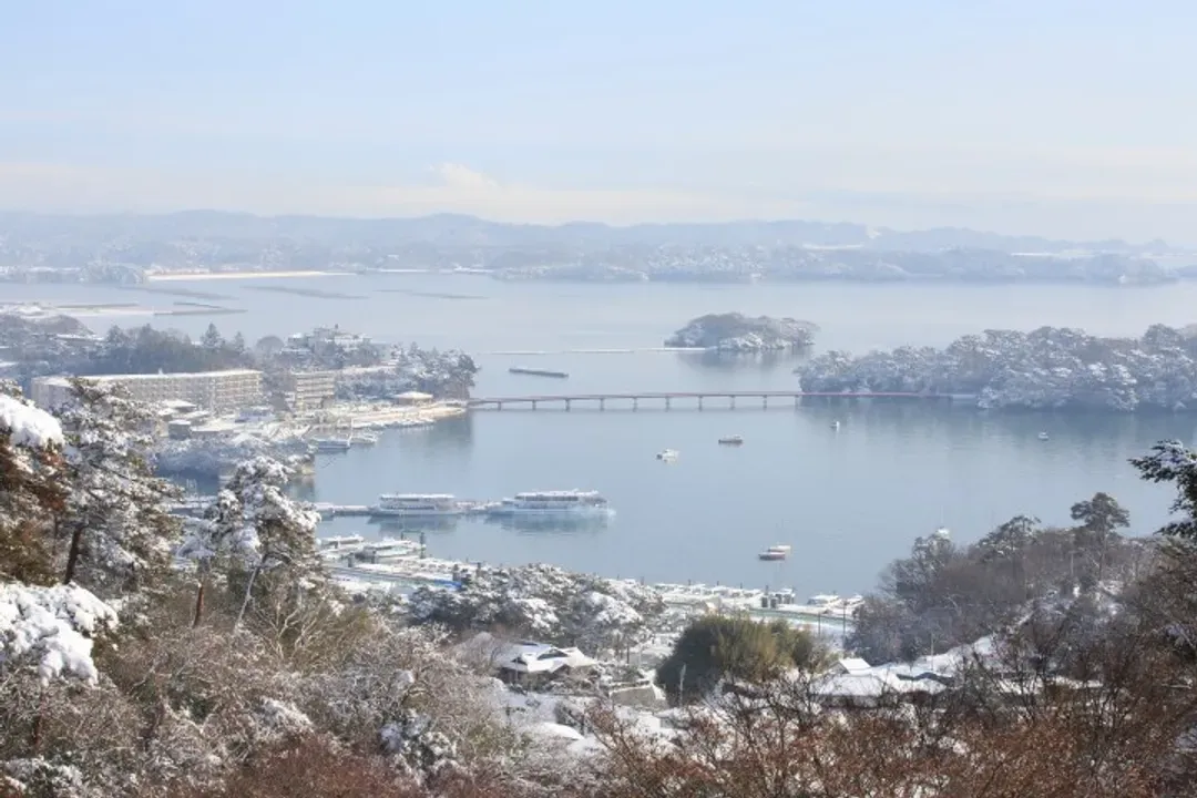 松島灣遊覽船(日本三景)