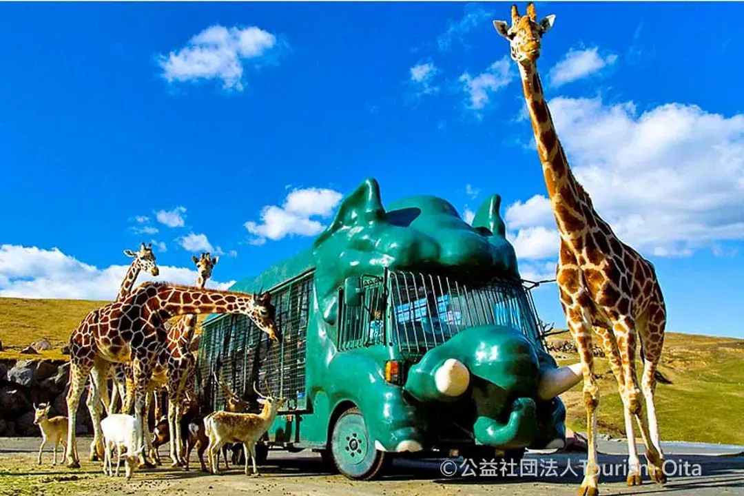 九州自然動物園(叢林巴士)