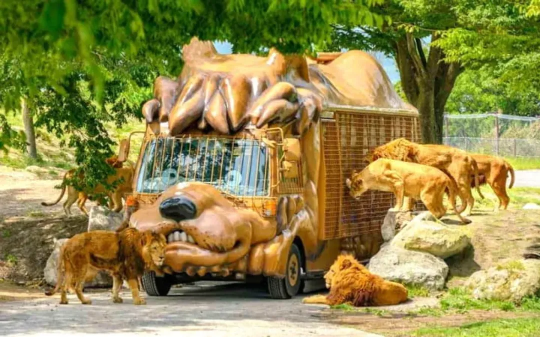 九州自然動物園(叢林巴士)