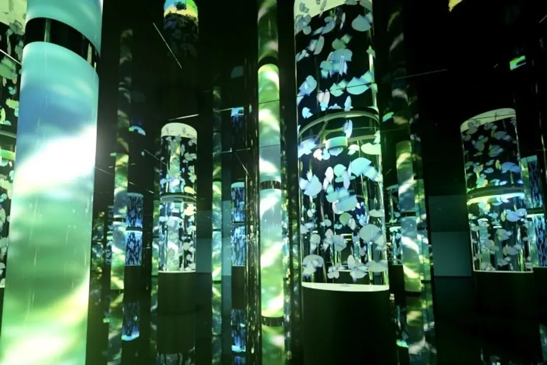 DMM KARIYUSHI水族館