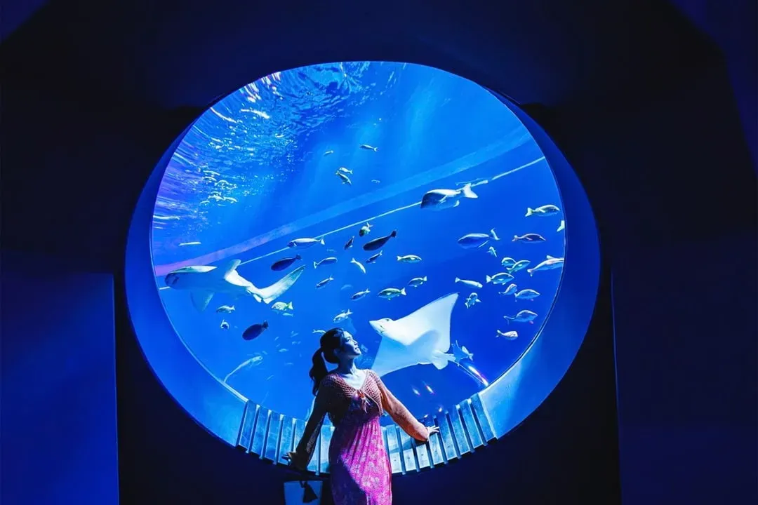 沖繩感謝季～光影水族館、CAVE洞穴探險、琉球名物阿古豬、乙晚溫泉飯店四日