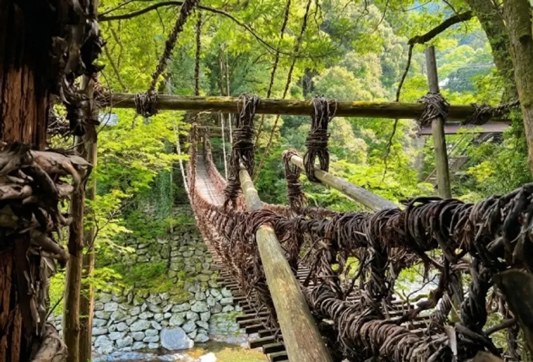高松四國～愛媛松山城、土佐和紙體驗、大步危遊覽船、名園名景漫遊五日-8