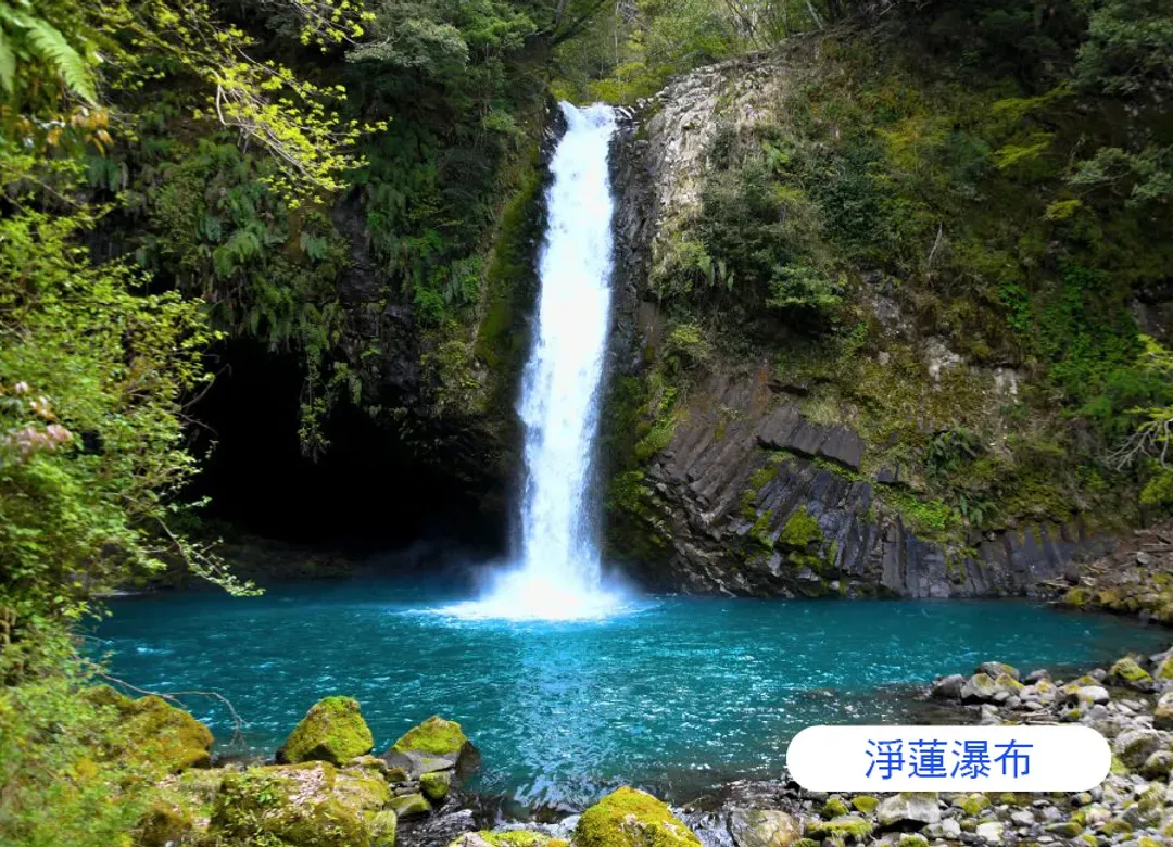 【東京伊豆】絕景慢旅5日.三島天空步道.抹茶布丁山.大室山纜車.伊豆海濱列車.淨蓮瀑布.螃蟹吃到飽-5