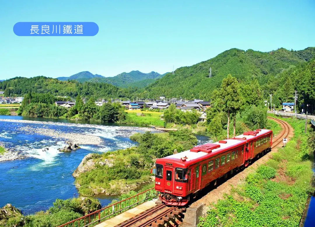 【特惠選】北陸5日.網紅景點別小江神社.美濃人形DIY體驗.長良川鐵道.郡上八幡舞蹈表演.名花之里.飛騨牛懷石料理-5