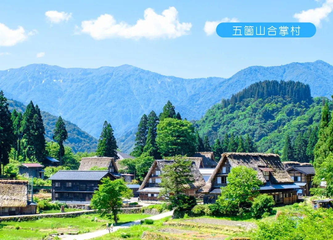 北陸富山絕景4日.保住兩晚希爾頓.秘境合掌聚落.雨晴海岸.哆啦A夢電車.玻璃美術館.兼六園.白蝦醬油仙貝DIY