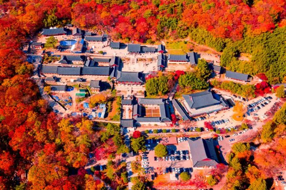 KHH釜山國際煙火節～紅葉銀杏賞、天空膠囊列車、千年古都巡禮、韓國觀光百選五日