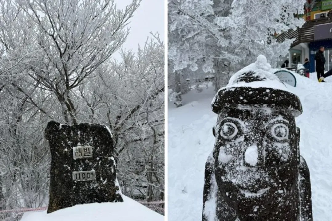 漢拏山1100高地-漢拏山(1100高地冬日雪景)