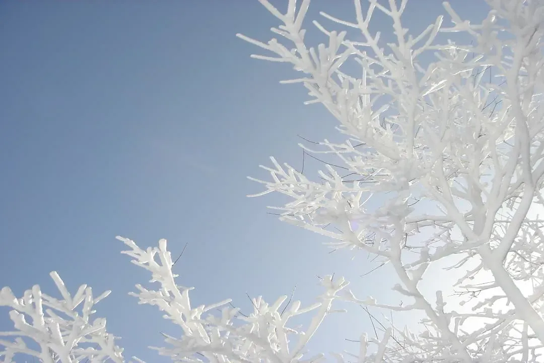 六甲山戲雪樂園