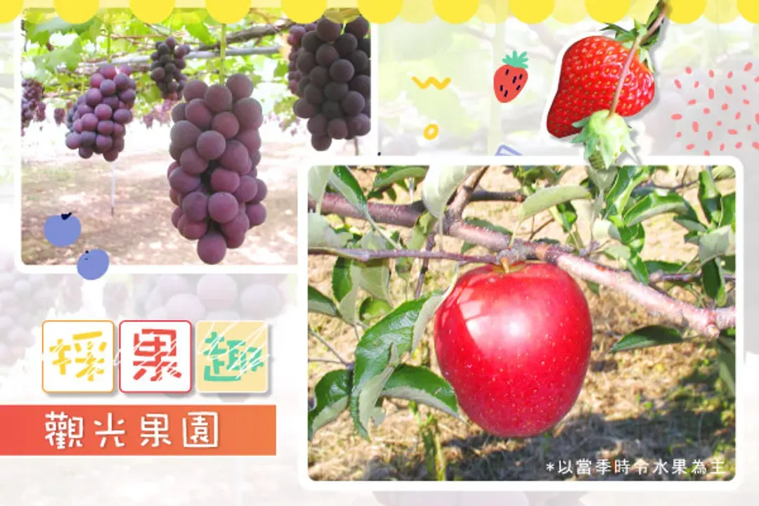 中部季節採果樂