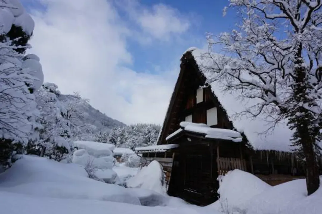 冬戀北陸～牧歌之里戲雪、採草莓新穗高、合掌村兼六園、中部福朋喜來登六日