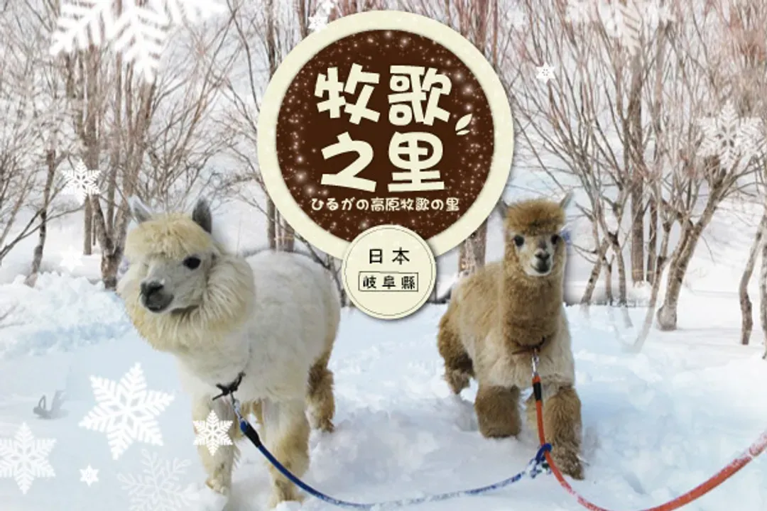 牧歌之里|雪盆、雪上甜甜圈、雪地泛舟